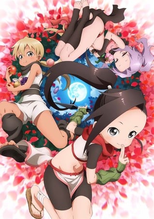In the Heart of Kunoichi Tsubaki Anime Casts M.A.O