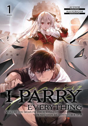 I Parry Everything Light Novels Get TV Anime